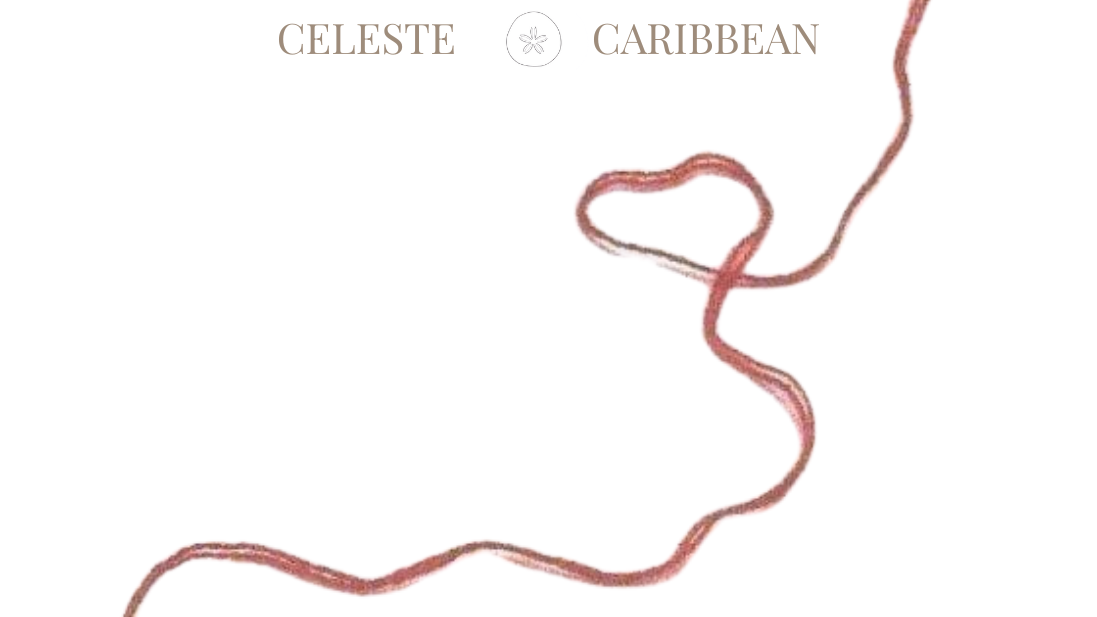 Se libérer sans renier : couper les liens qui nous empêchent d’avancer