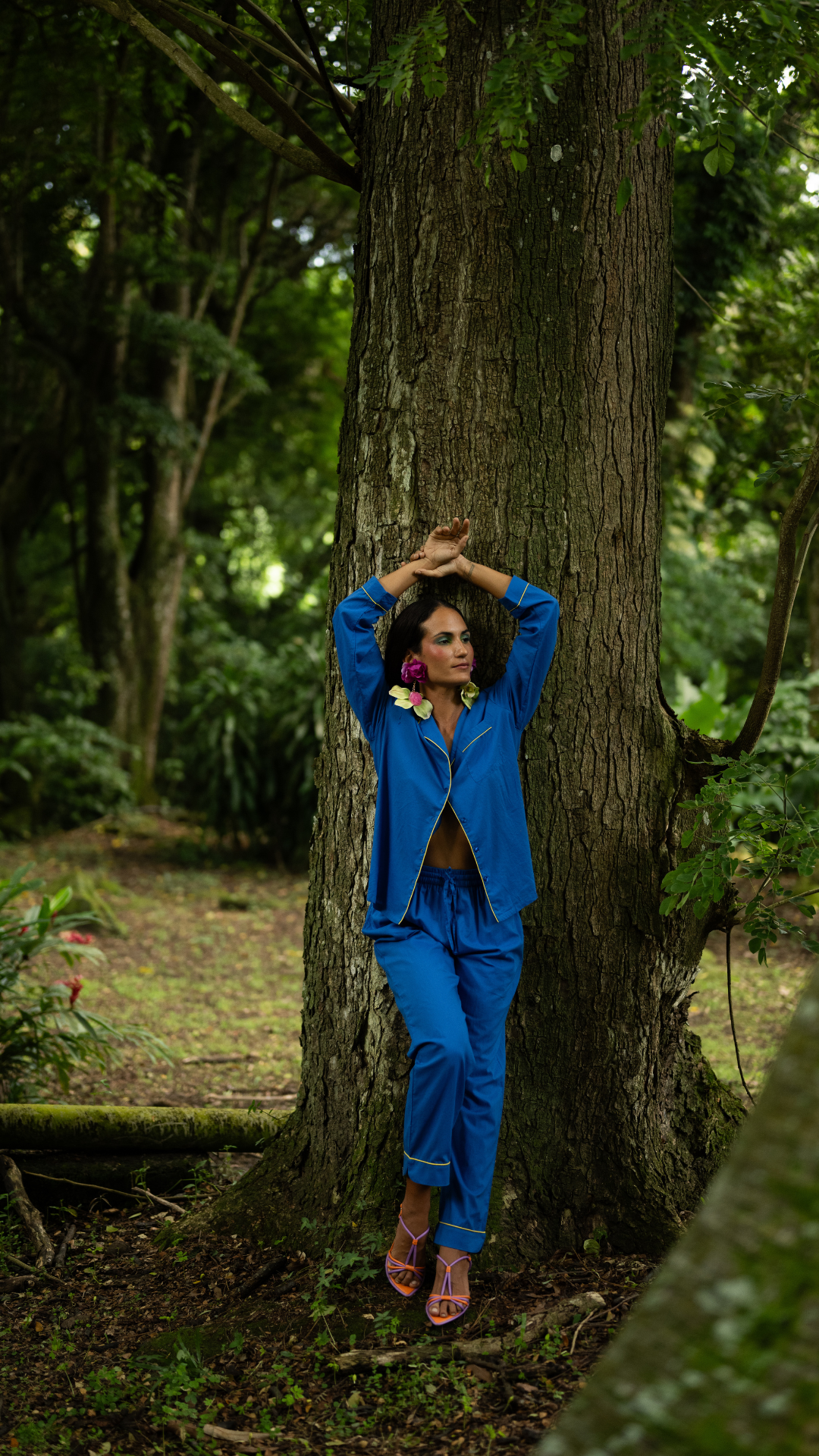 L'Ensemble Edmond Cobalt