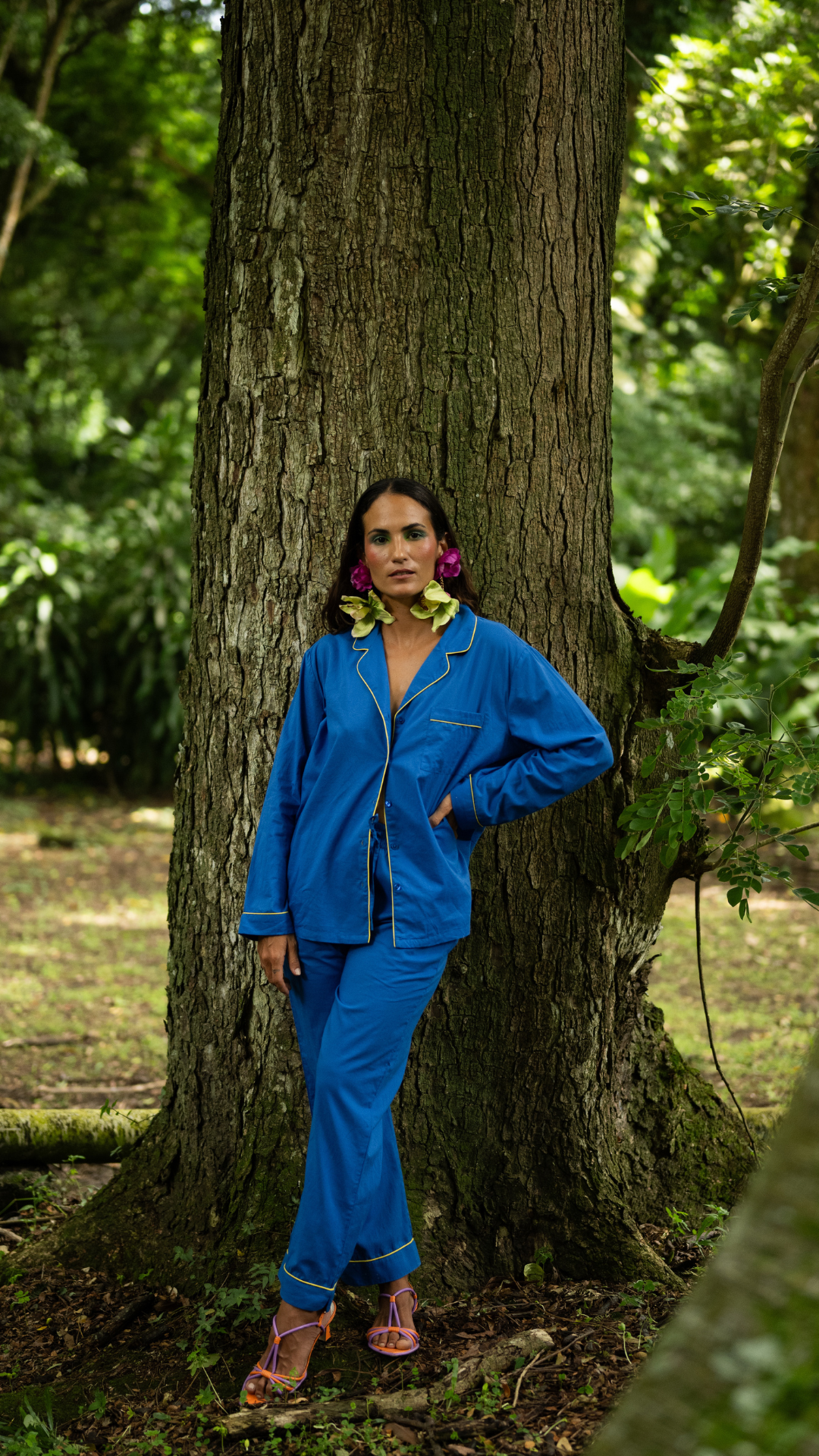 L'Ensemble Edmond Cobalt